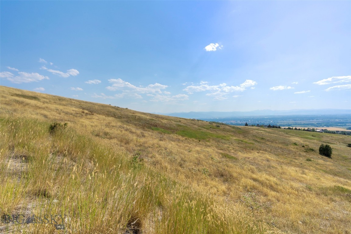 Grandview Heights - Land
