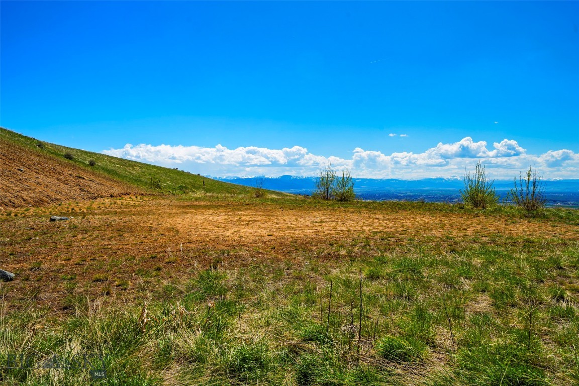 Grandview Heights - Land