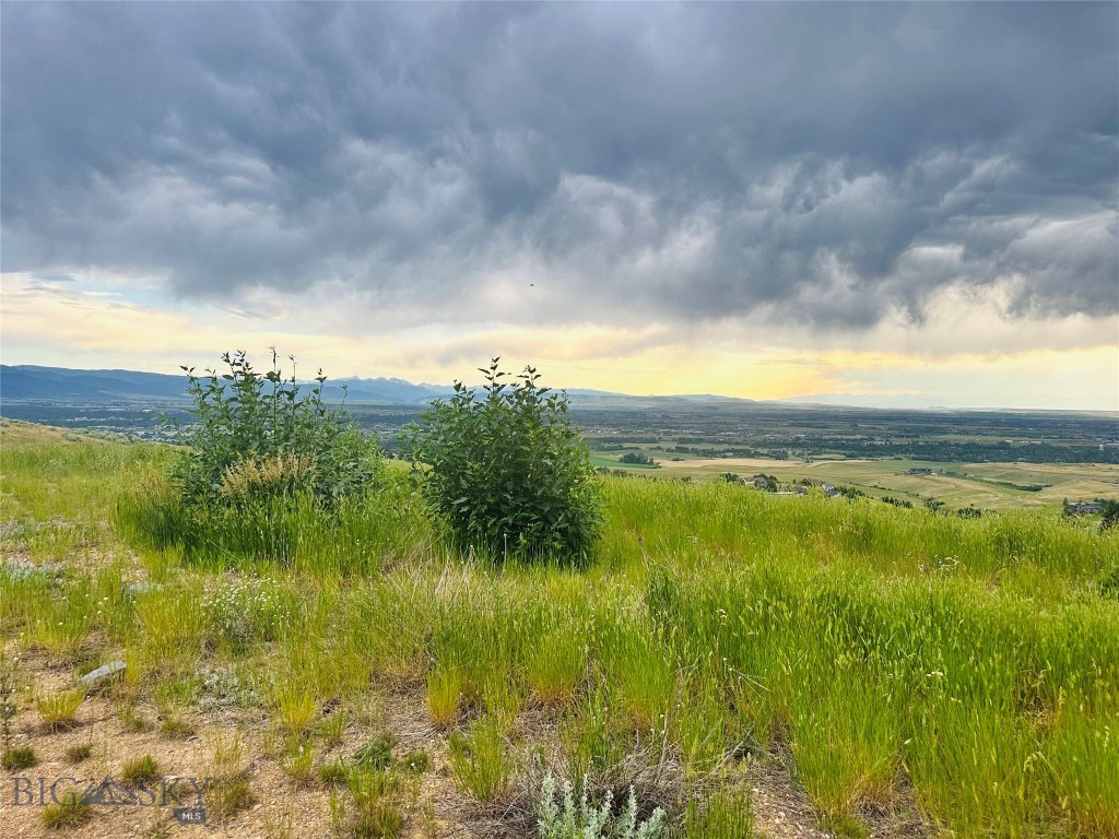 Grandview Heights - Land