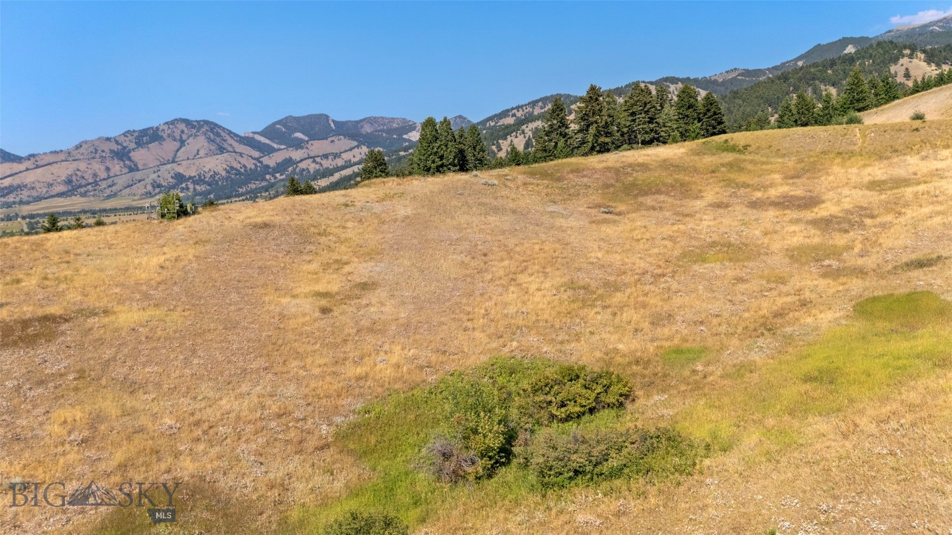 Grandview Heights - Land