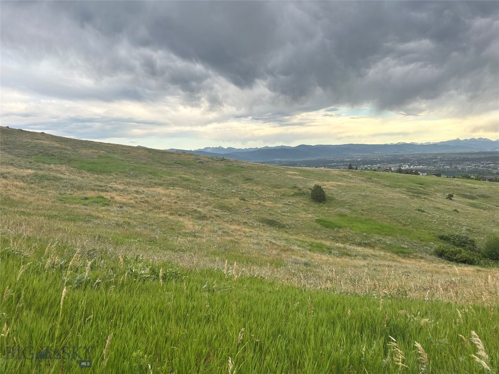 Grandview Heights - Land