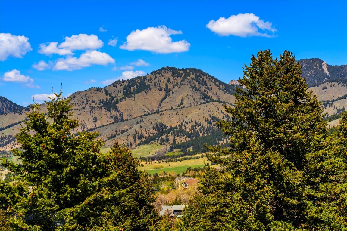 Grandview Heights - Land
