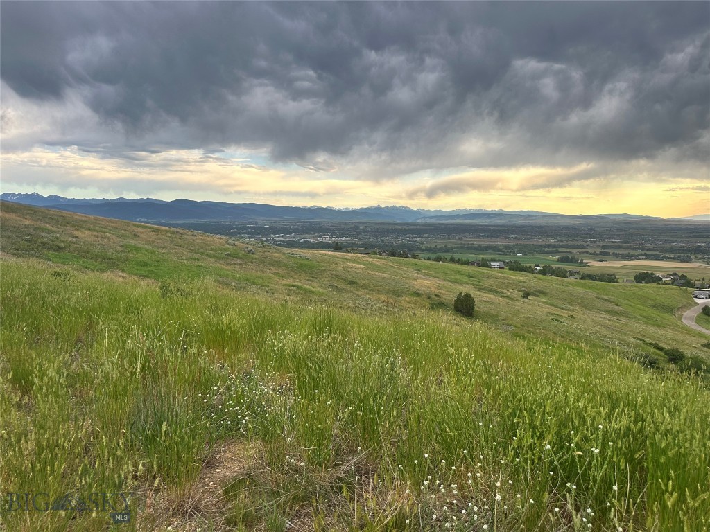 Grandview Heights - Land