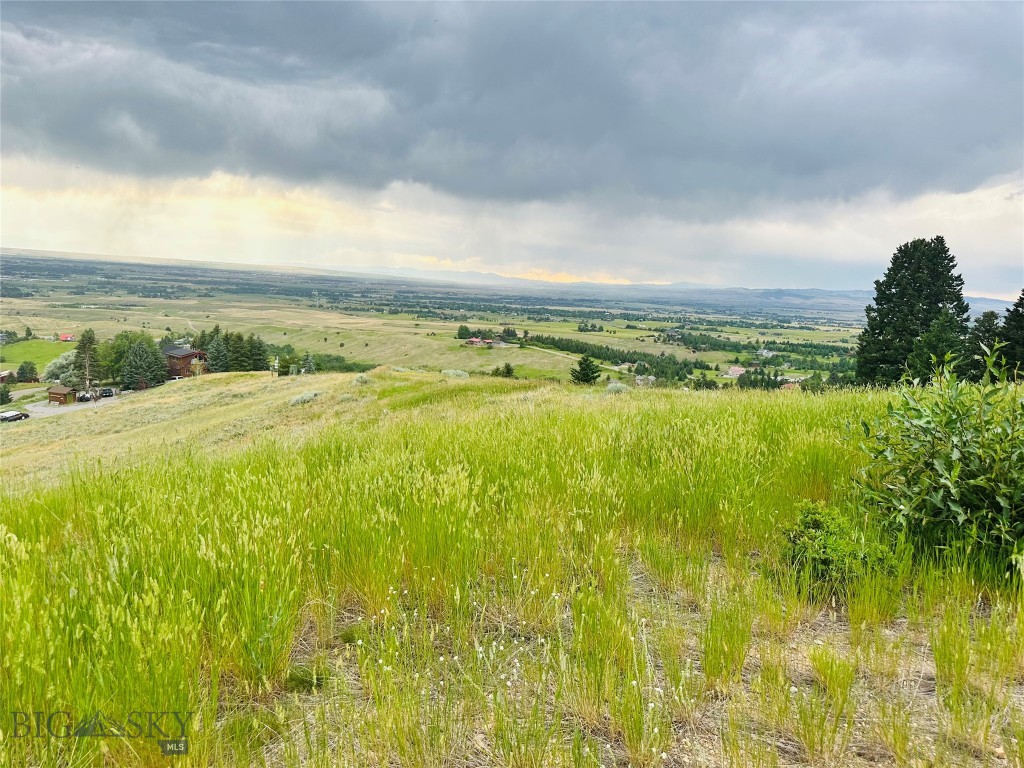 Grandview Heights - Land