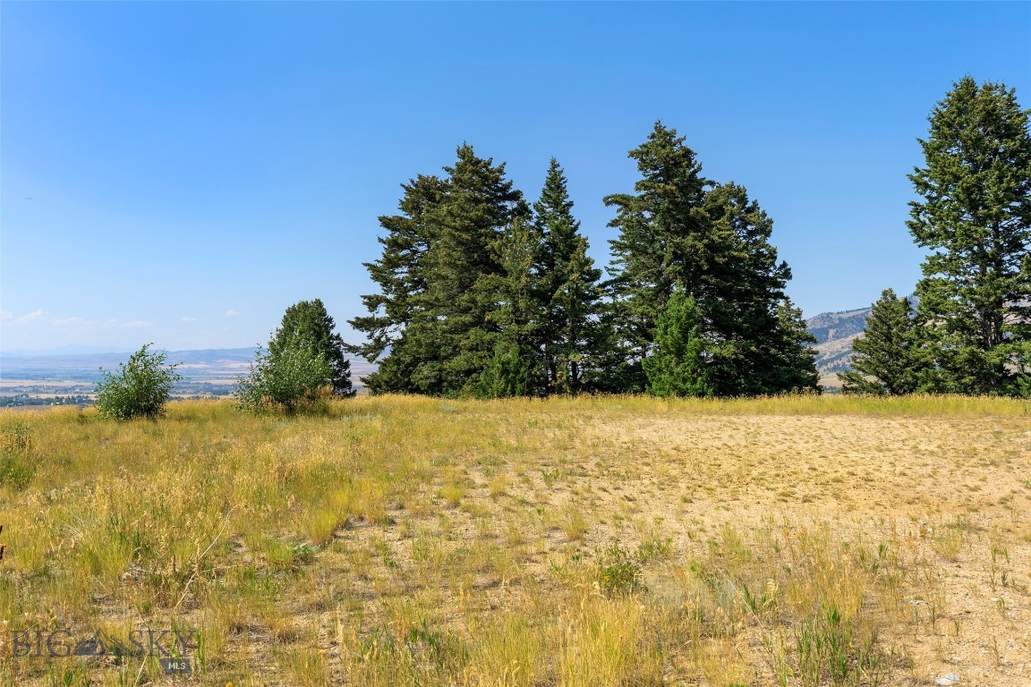 Grandview Heights - Land