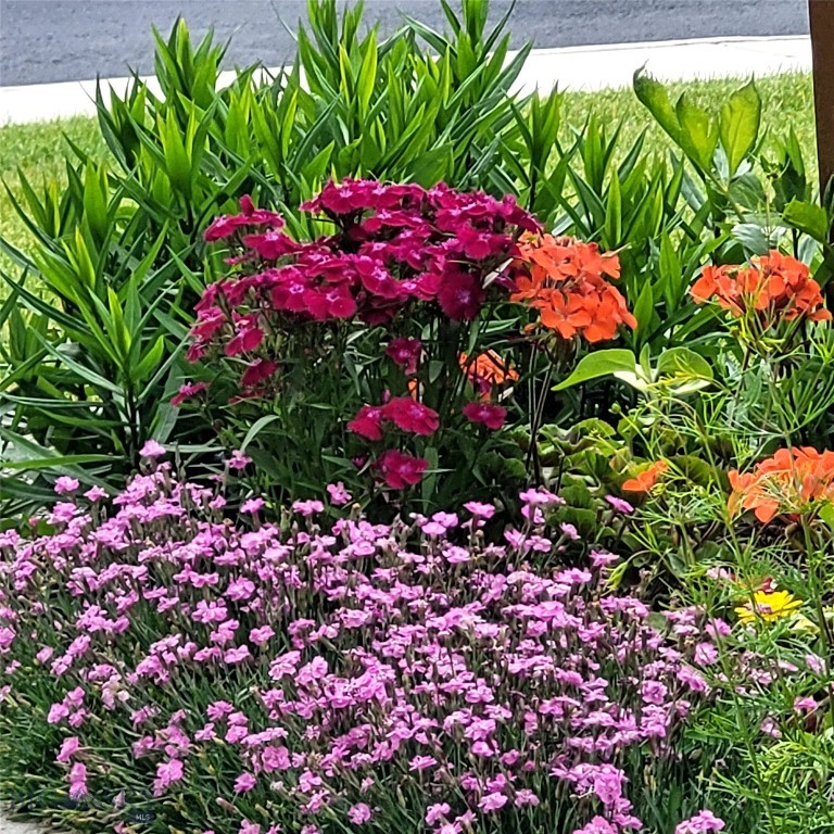 Lessley Estates Condo - Residential