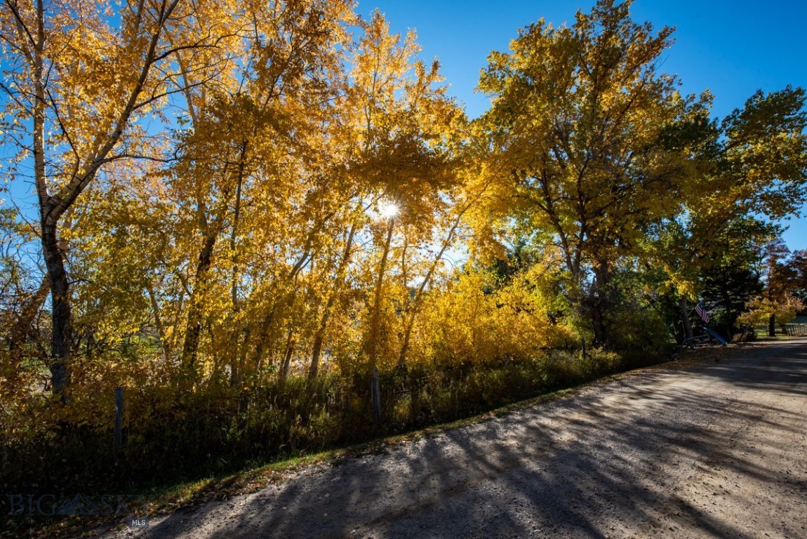 Three Forks Land Company - Residential