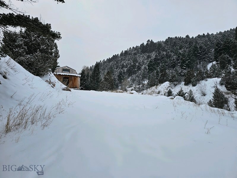 Virginia City, Montana 59755, United States, 1 Bedroom Bedrooms, ,1 BathroomBathrooms,Land,Pending,66419