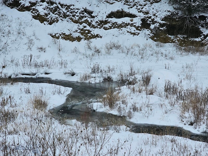 Virginia City, Montana 59755, United States, 1 Bedroom Bedrooms, ,1 BathroomBathrooms,Land,Pending,66419