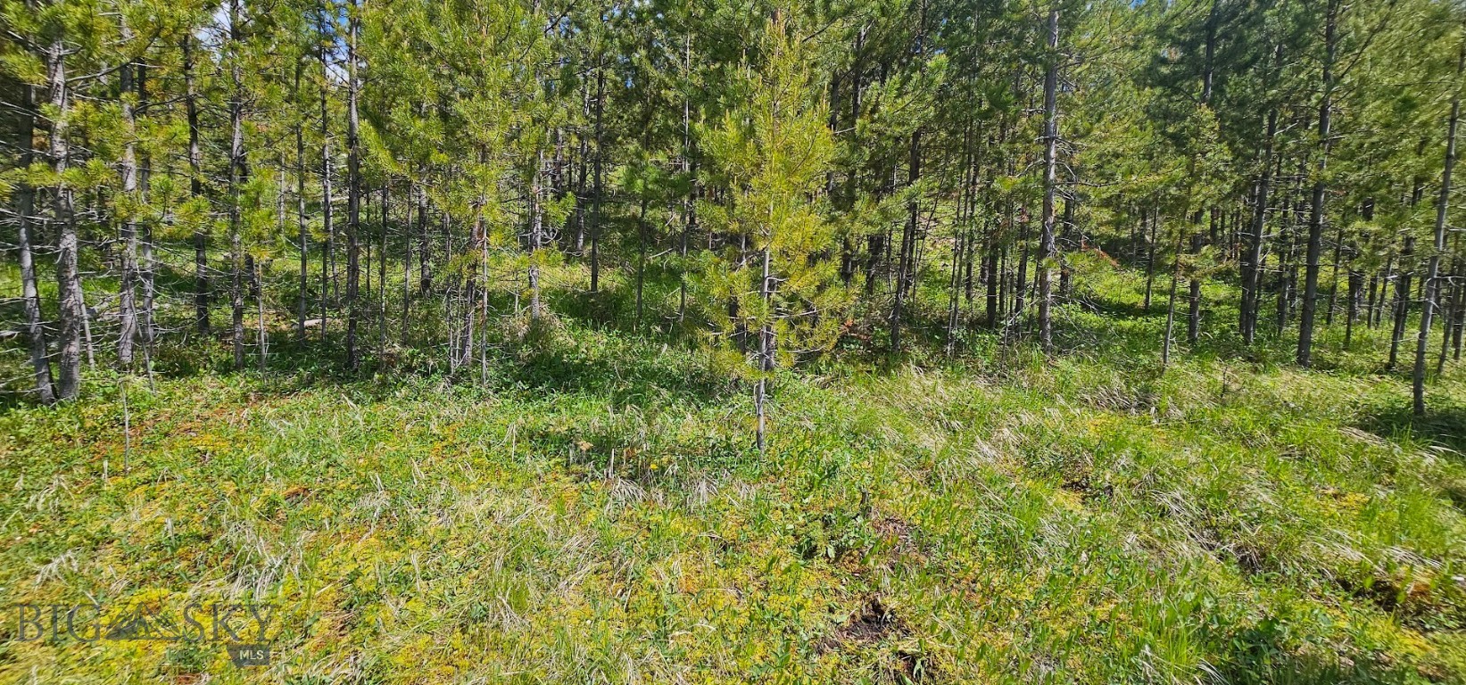 8 Hall Creek Tracts