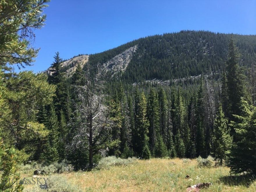 5 acres surrounded by National Forest with no neighbors, a huge shop, amazing mountain views, trees, elk, and deer, all near Sappington Creek, Trapper Creek, Trapper Lake, and the famed Big Hole River. Here it is. The Montana mountain property you’ve been waiting for is surrounded by the Beaverhead/Deer Lodge National Forest. Let me say that again, it’s SURROUNDED BY NATIONAL FOREST. There are no neighbors. This is an extremely rare find. It's right out in the middle of the Beaverhead Deer Lodge National Forest, not just along the edge of it. There’s an unmaintained county road that comes close to the property and then a short stretch of National Forest Road that is open to drive to the property where the shop sits and where there are plenty of other level building or camping areas that are ready to go with some of the most amazing views of the surrounding mountains. There’s Granite Mountain, Lion Mountain, Cleve Mountain, and Sheriff Mountains in the area to name just a few. The mountains are above tree line and it’s got that great alpine look and feel.  It’s a must-see to believe and experience. The property has an approximately 8500-square-foot shop with a cement floor and steel beams. The roof and other items need some repair, but the building structure seems to be in pretty good shape. The building could be made into a living space, workspace, storage space, or all three. You can park your camper in it for the winter, too. There’s lots of room on the ground level and an upper ½ level area as well. However, this is not a place to live year-round, as there’s too much snow and it's too far in. It bears repeating: this is NOT a year-round property. It’s amazing to find a building of this size up in such a remote area and in such wild country, so buy it now and enjoy the possibilities. It’s a rare find and gives you lots of options for having your piece of heaven out in the mountains of Montana. Sappington Creek runs within 100 feet of the property on the National Forest, and it feeds into Trapper Creek, which is also very nearby. Both creeks have cutthroat trout in them for fishing and fresh mountain water right out your back door. Trapper Creek comes out of Trapper Lake, a high mountain Lake only about 2 miles from the property. It has lots of high mountain cutthroat trout in it for lots and lots of fun.