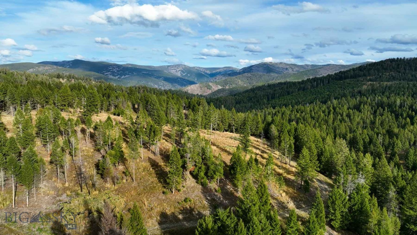 3689 Corley Gulch Road