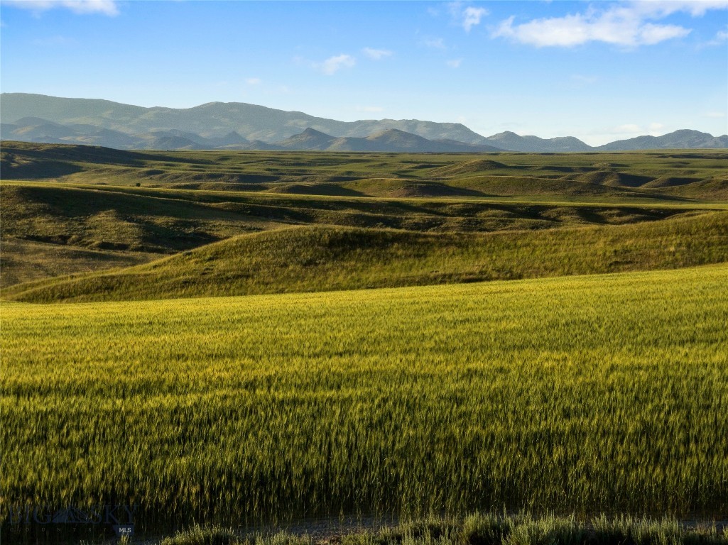 Build your dream farmstead, ranch, or off-grid cabin on this stunning 1,202± deeded acres of scenic, covenant-free land, offered in three parcels. Surrounded by sweeping mountain views, this productive mix of rolling crop and pasture ground has been well cared for through generations of responsible land stewardship. Currently managed in a dryland wheat/fallow rotation, the ground is also well-suited for pulse crops like chickpeas and lentils to increase profitability, or it can be seeded to pasture for horses, cattle, or other livestock.
An ideal property for horse enthusiasts, wildlife lovers, and those seeking a peaceful rural lifestyle. Upland birds, deer, antelope, and even the occasional elk frequent the land, and the wide-open skies offer breathtaking views.
Located just 30 minutes from Bozeman, this quiet Three Forks area property feels a world away while still offering convenient access to town. Power is available on three sides of the property. Fully fenced with a private access road and a road maintenance agreement shared with neighboring parcels in place. A rare opportunity to own a large, beautiful, and versatile piece of Montana.
