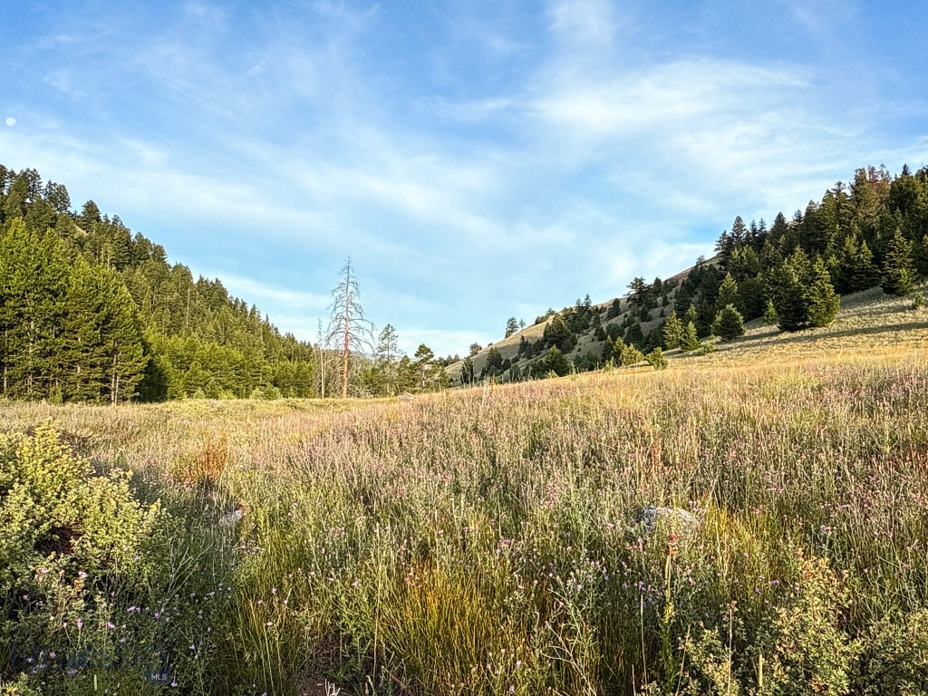 Yellowstone Basin Properties - Land