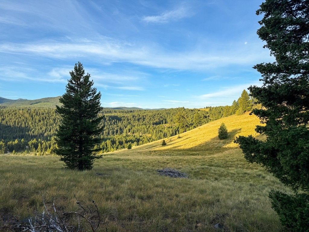 Yellowstone Basin Properties - Land