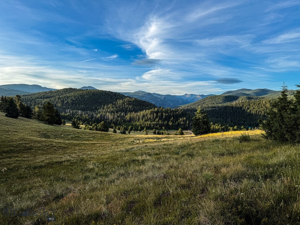 Yellowstone Basin Properties - Land