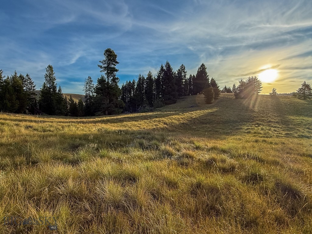 Yellowstone Basin Properties - Land