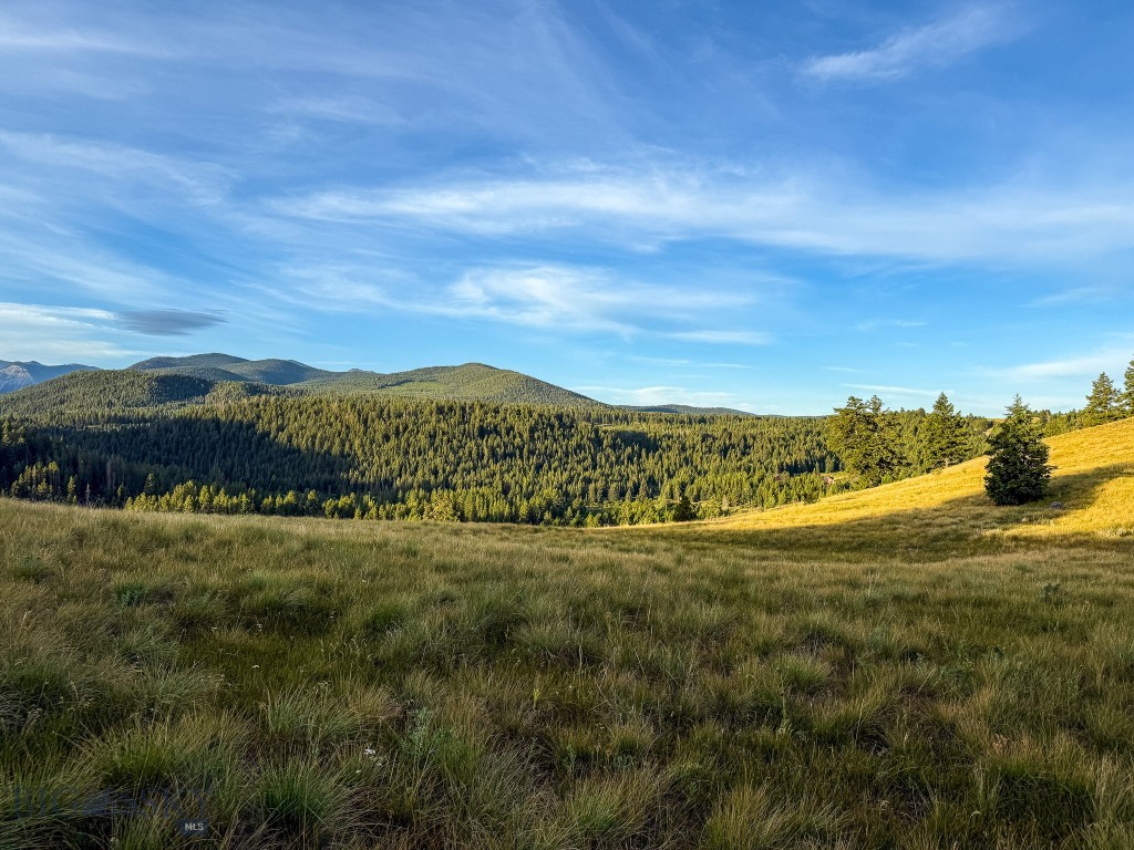 Yellowstone Basin Properties - Land