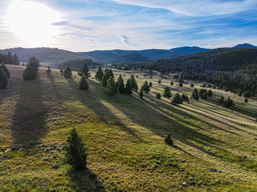Yellowstone Basin Properties - Land