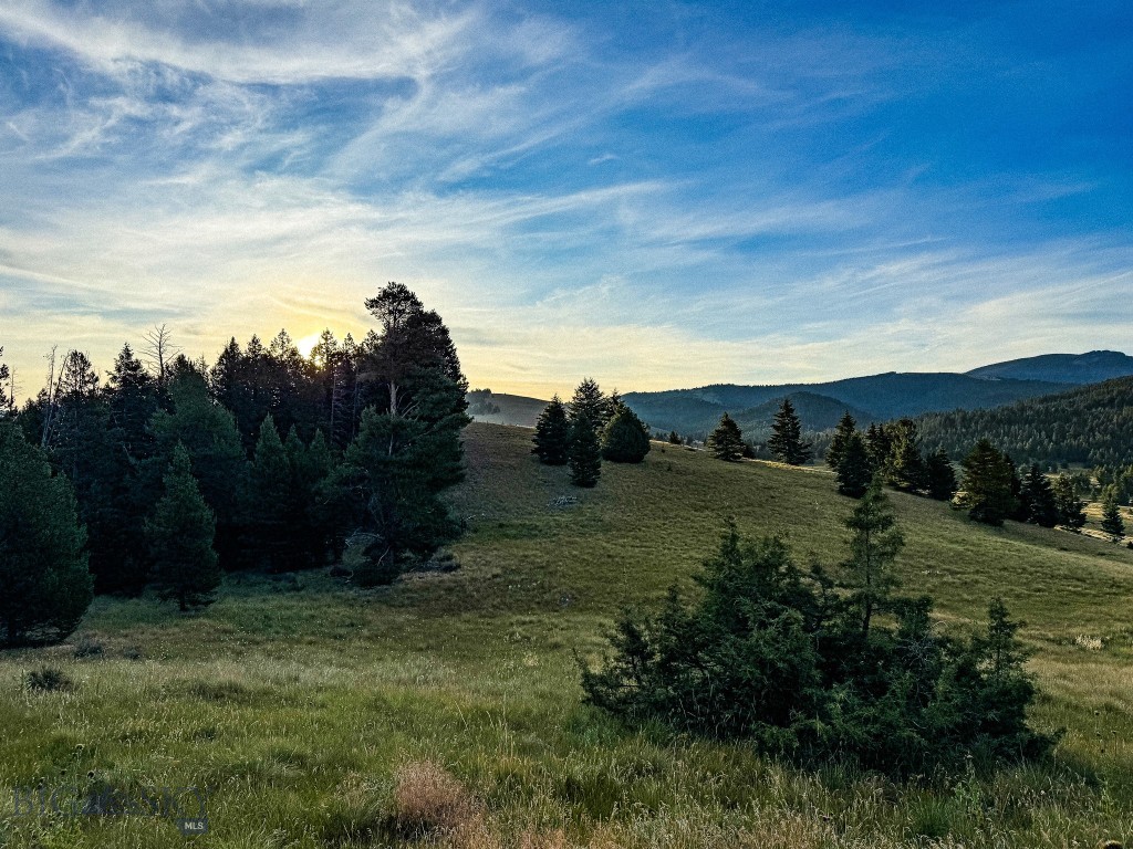 Yellowstone Basin Properties - Land