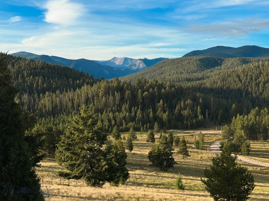 Yellowstone Basin Properties - Land