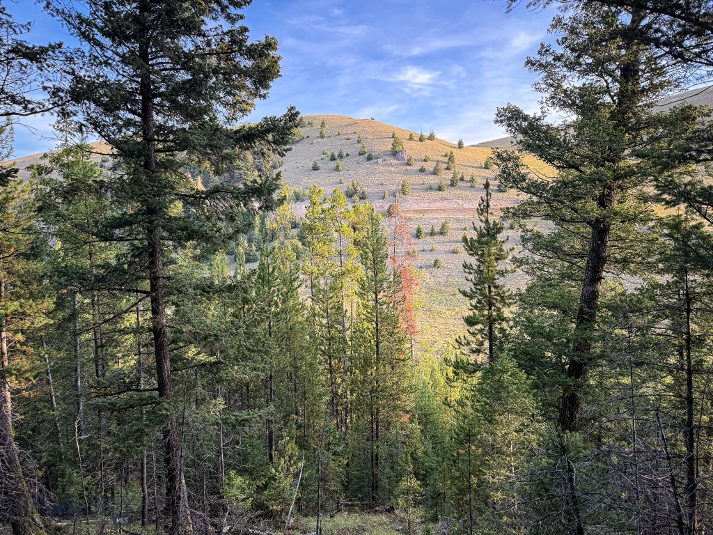 Yellowstone Basin Properties - Land