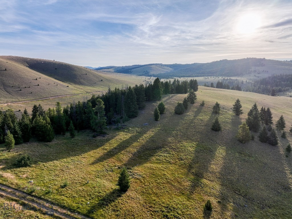 Yellowstone Basin Properties - Land