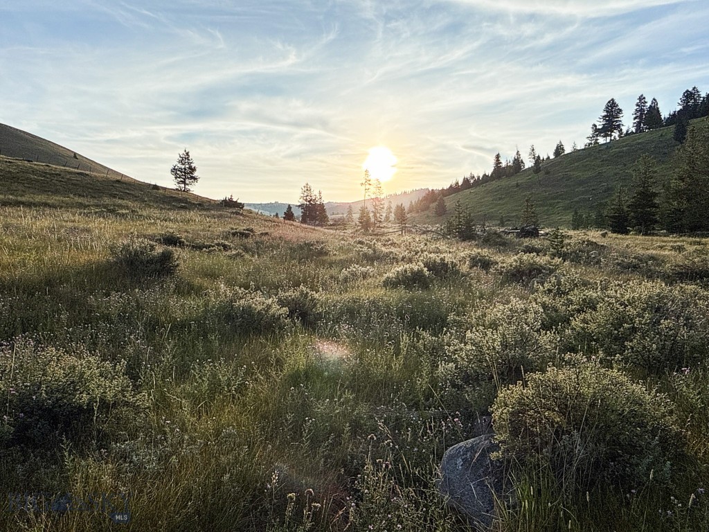 Yellowstone Basin Properties - Land