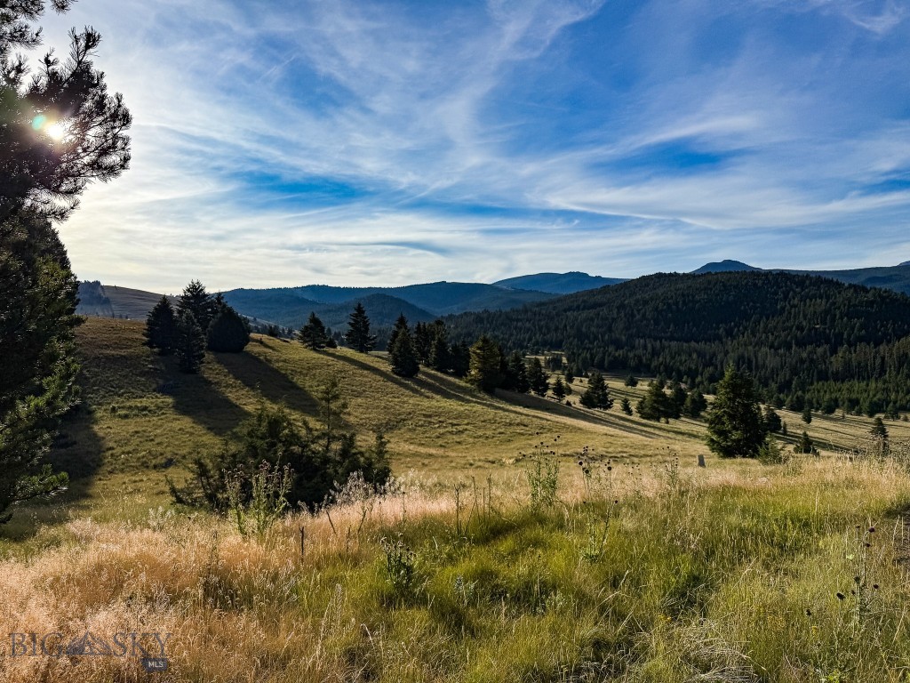 Yellowstone Basin Properties - Land