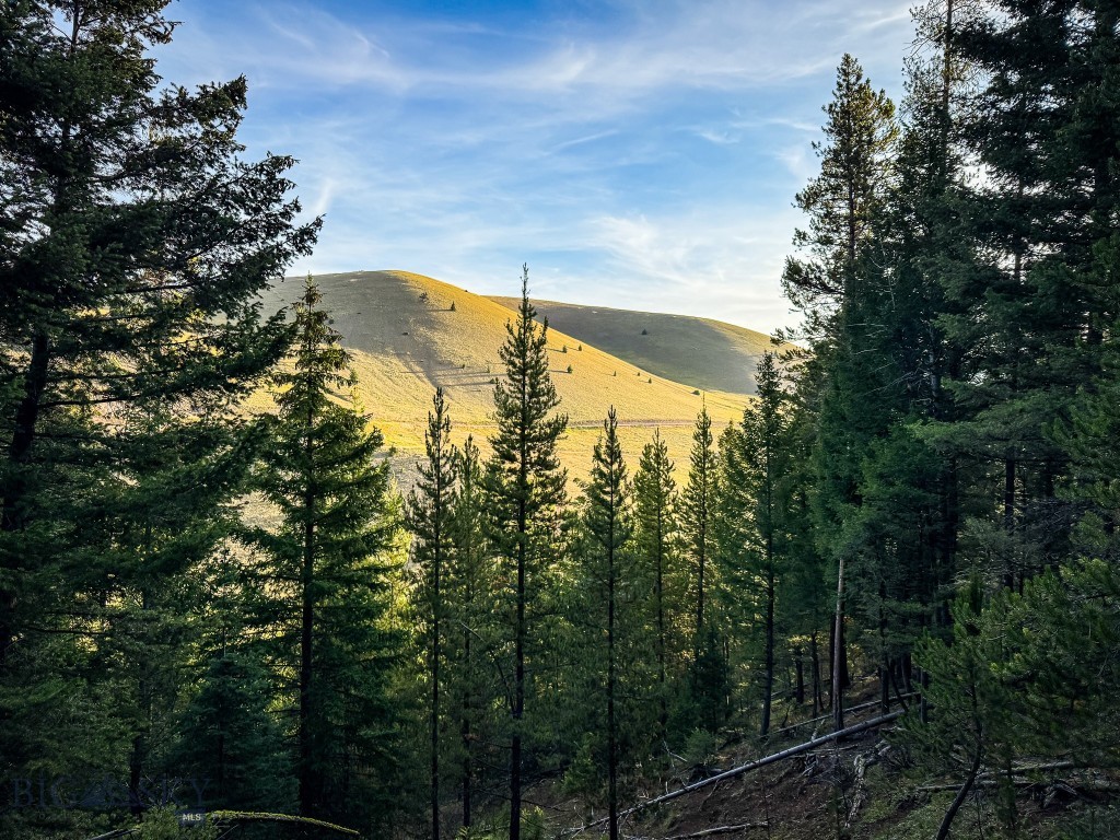 Yellowstone Basin Properties - Land