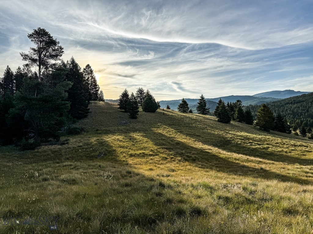 Yellowstone Basin Properties - Land