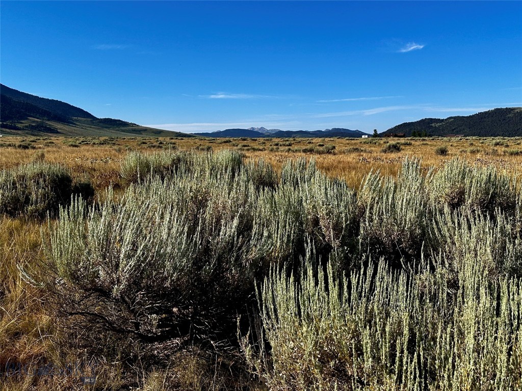 Sportsmans Paradise - Land