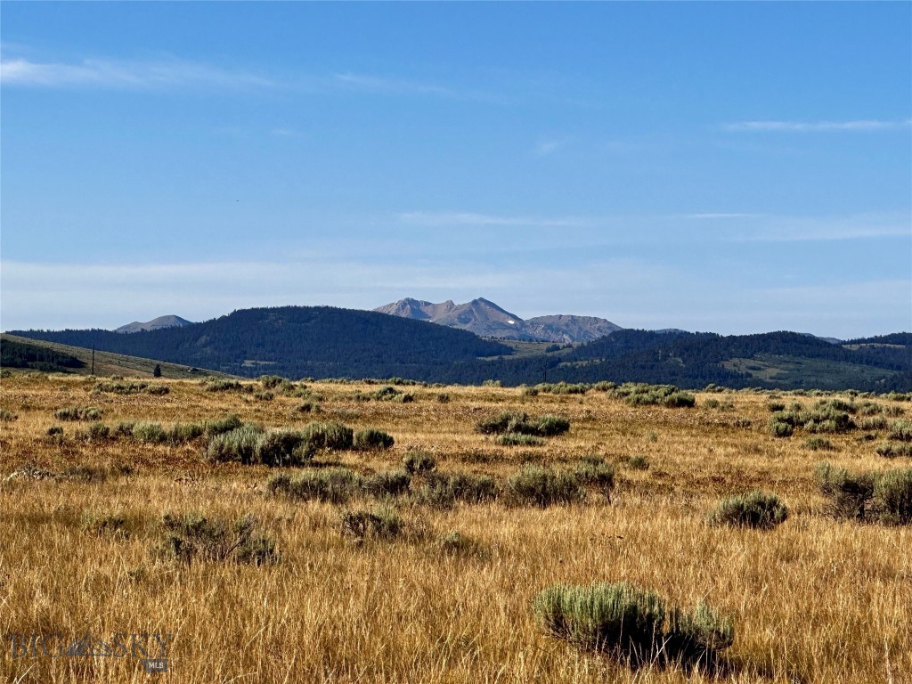 Sportsmans Paradise - Land