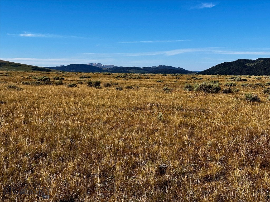 Sportsmans Paradise - Land