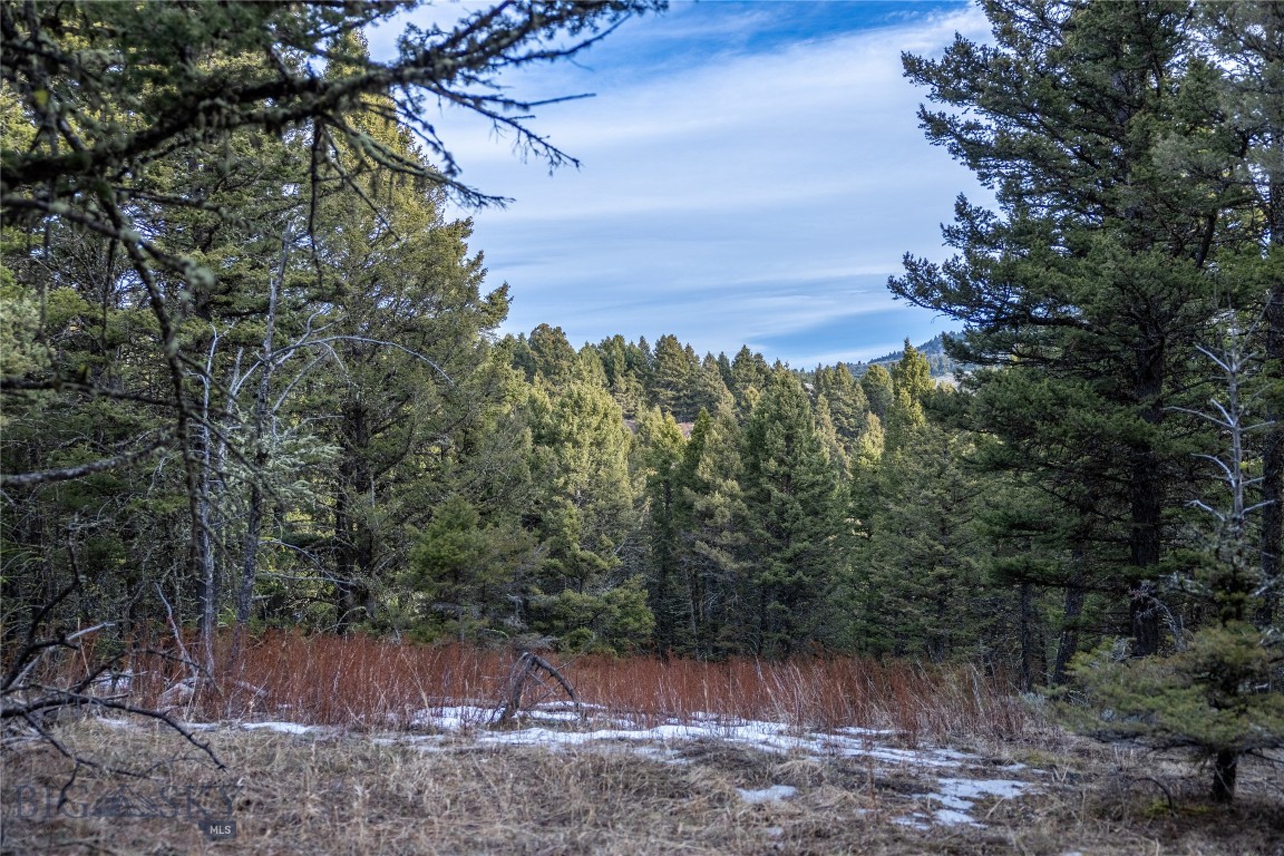 TBD Sunflower Lane LOT 4 Lane