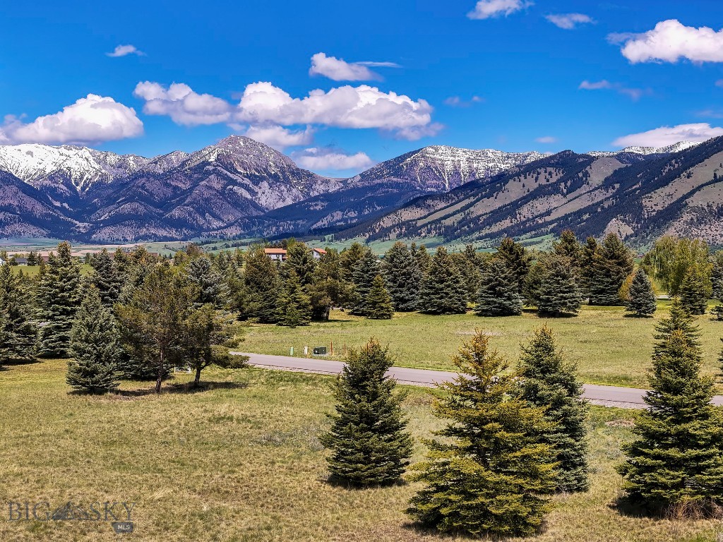 Bridger Lake Meadows - Land