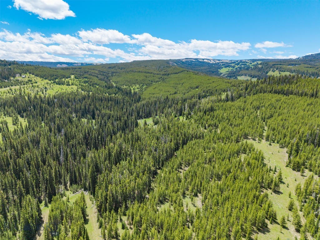 TBD Gallatin Preserve