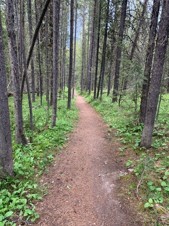 Moose Ridge - Residential