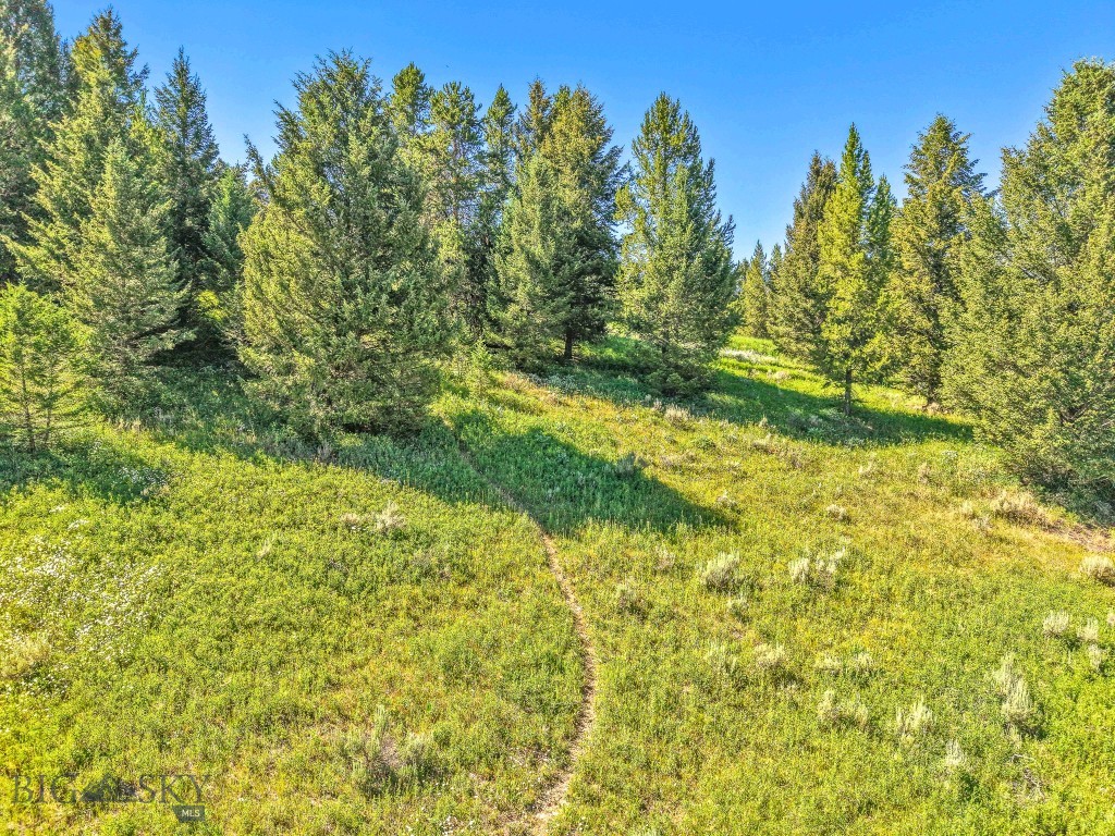 Moose Ridge - Residential