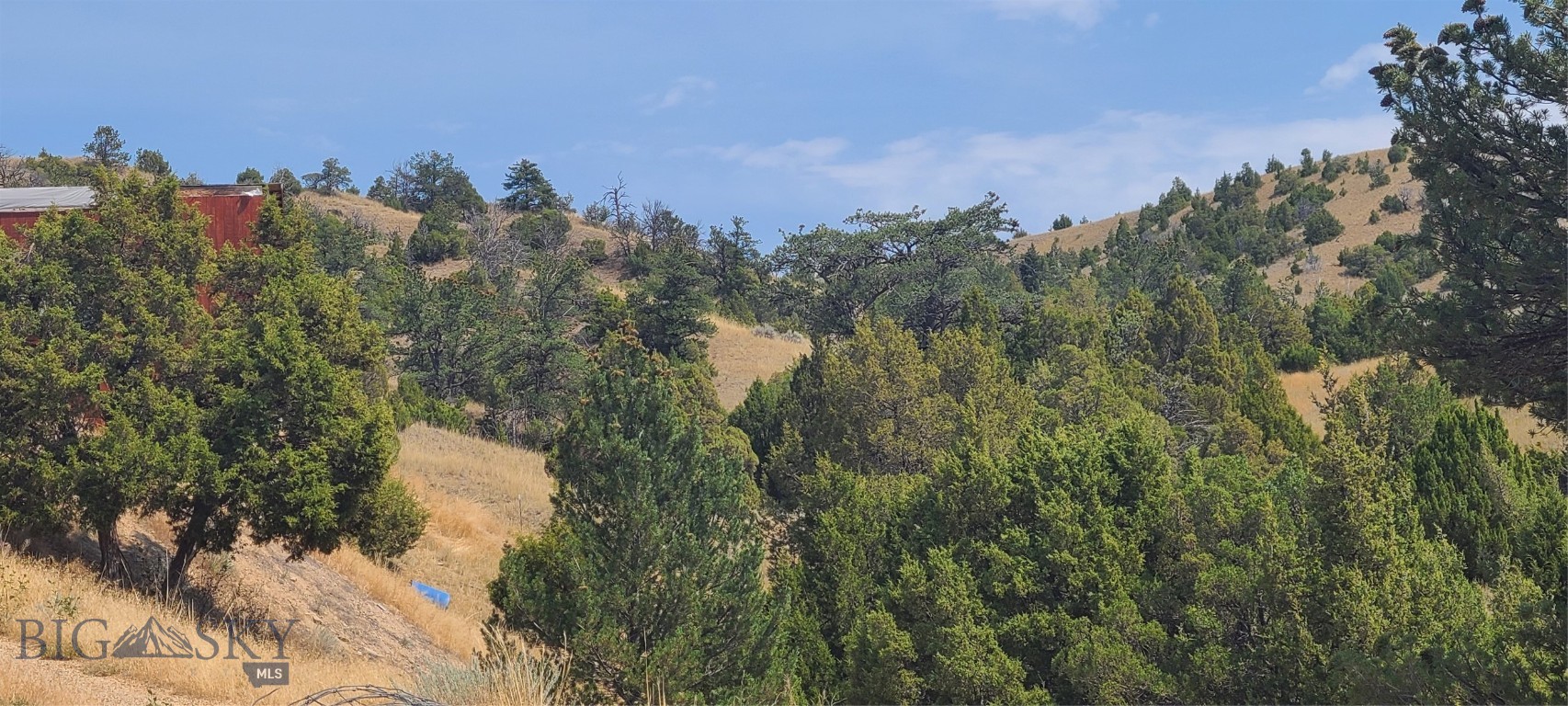Ponderosa Pines - Residential
