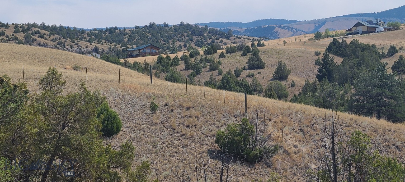 Ponderosa Pines - Residential