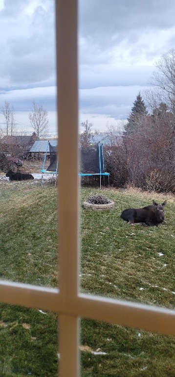 Minor Subdivision - Land