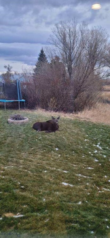 Minor Subdivision - Land