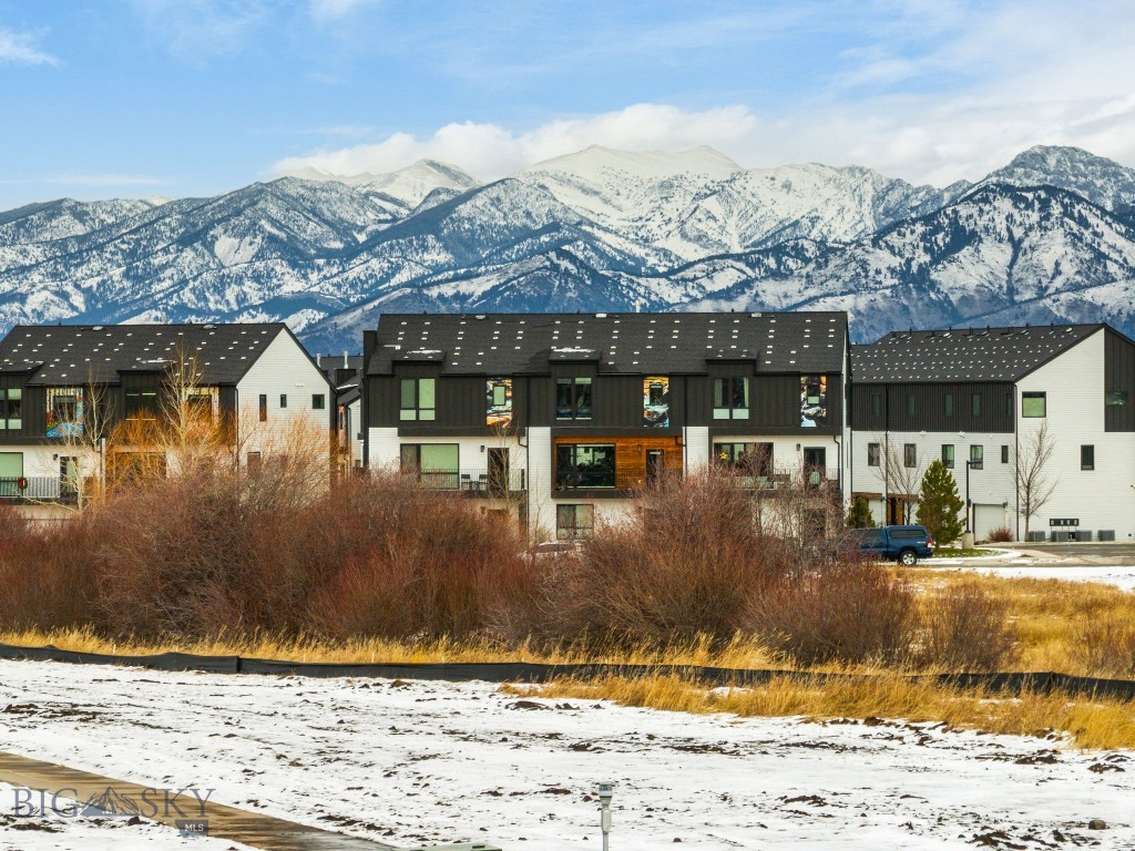 Meadow Bridge - Land