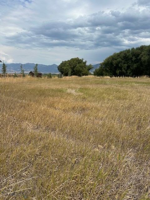 Other - Land