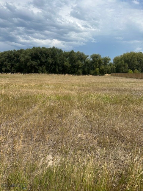 Other - Land