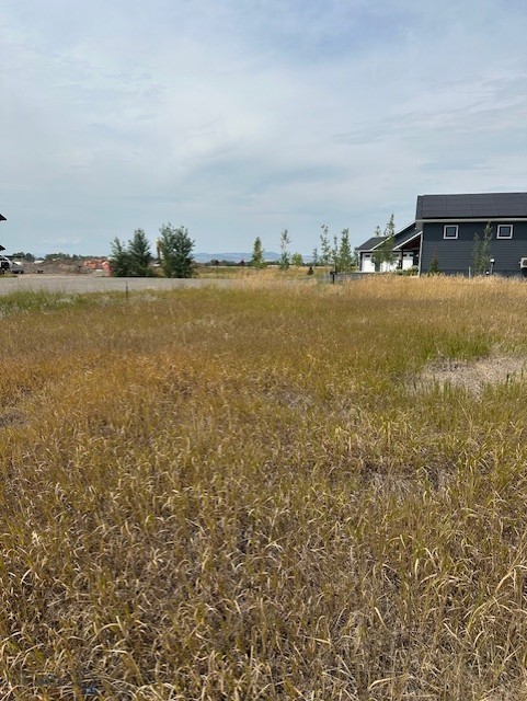 Other - Land