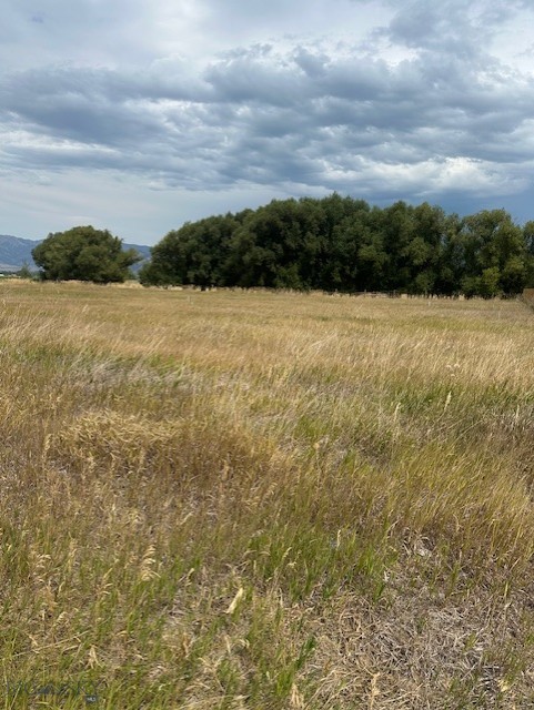 Other - Land