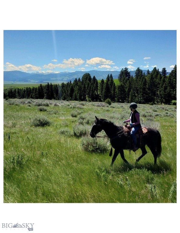 Montana Ranch - Residential