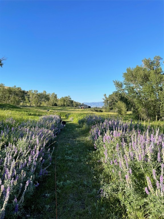Montana Ranch - Residential